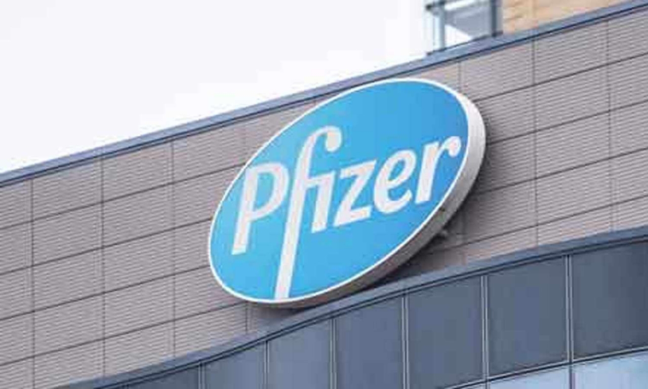 pfizer 