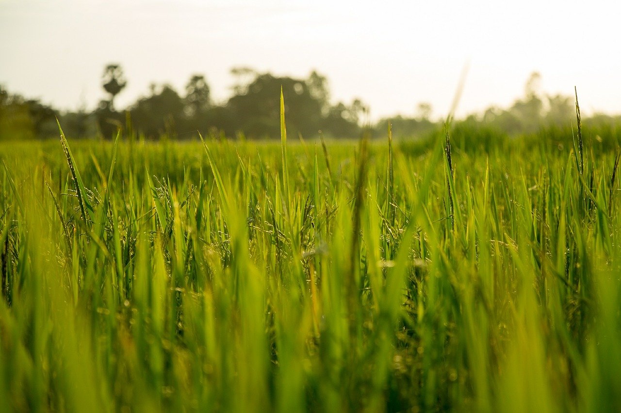 farming in jammu kashmir jammu me zero line pr kheti