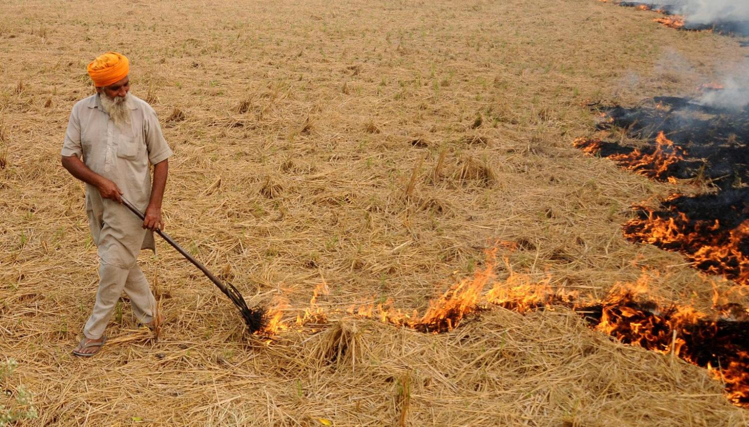 burning of crops 